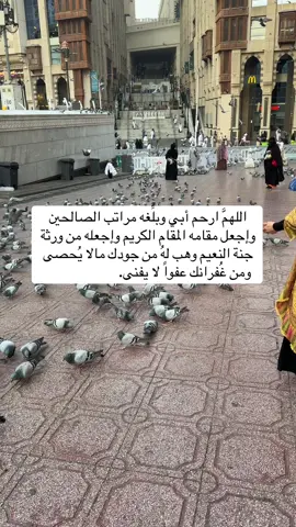 #صدقة_جارية_لوالدي_وللمسلمين_والمسلمات #صدقه_جاريه_لجميع_اموات_المسلمين #صدقة_جارية_لوالدي #صدقه_جاريه #foryou 