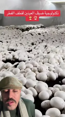 ‏زراعة الفطر الباريزي واستعمال تكنولوجيا تكنولوجية ضيڤ العينين لقطف الفطر 🍄 🍄‍🟫  لقطفة  كوكب الصين العظيم - - - - - - - #fyp #pourtoi #algeria #viral #dz 
