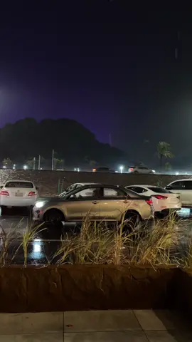 #مطر #viral #explore #حايل #flower @W A B 