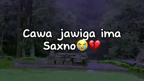 Njp😭💔#jawi_bila🌊❤️🌴jawiga_jawiyada_eryaday🌴❤️ #mohamed💦 