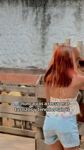 Sentí que nunca iba a poder recuperarlos después de tanto químicos, tintes y plancha 😔pero SI SE PUEDE HERMANASSS,  solo tiene que tener paciencia, saber su tipo de cabello, usar productos adecuados. Tengo una guia gratisss, siganme que les subo tips y videos ✨ #rizada #transicioncapilar #cuidadocapilar #rizadas #fyp 