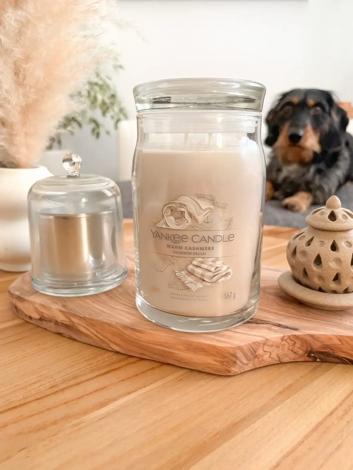 Les bougies Yankee Candle: notre indispensable pour contrer les odeurs des mastications de Vico 😊 Nous avons eu la chance de découvrir la bougie senteur « Cachemire délicat » de la collection Signature et avons adoré son odeur aux notes de bois de santal et de patchouli. L’odeur est douce et agréable, parfaite pour une soirée cocooning ! Pour ceux qui veulent tester, vous avez -20% sur la collection signature avec le code SIGNATURE20 (code valable jusqu’au 20 janvier) #cocooning #yankeecandle #bougie #novembermood #dachshundsofinstagram @sampleo_france @yankeecandlefr  *produit offert