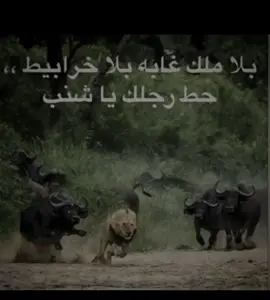 الهروب مبكراً قبل القمه🔥🔥🤣! #fyp #foryou #foryoupage #ريال_مدريد #مانشستر_سيتي 