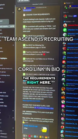Who’s wants to ascend? 👀❤️ #esports #discord #fyp #skate #skate4 founded by @Rairu managed by @earn team lead @️lettas 