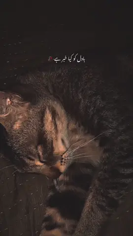 Badal ko kya khabir hai-❤️‍🩹 | Paid Repost Avalaible • #urdushayari #urdushayari #vuralvideos #viralvideo @TikTok 