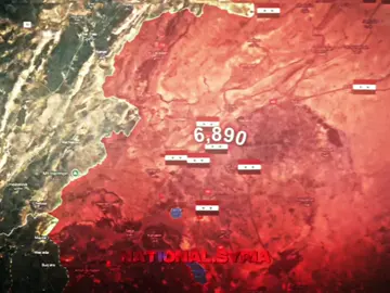 Syria's Independence Day12 8 2024#syria🇸🇾 #capcat #tik_tok #trendingvideo #edit 