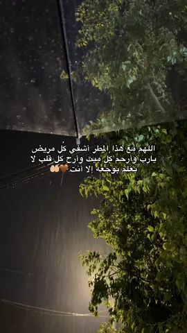 #اللهم_امين #یارب_العالمیــــــــــن🤲🏻🥺 