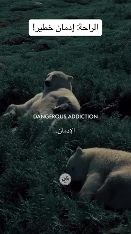 Comfort is a dangerous addiction #motivation #mindset #meditation #inspiration #lifelessons 