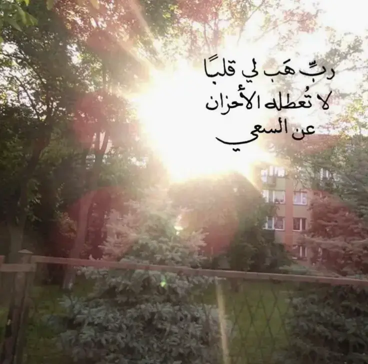 #صدقة_جارية_لي_ولكم #قران #صدقة_جارية #foryoupage #صدقة_جارية_لوالدي_وللمسلمين_والمسلمات 