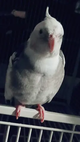 he's just too sweet 😭