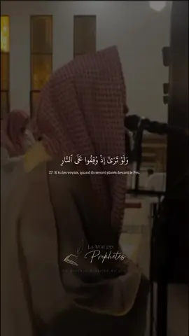 Sourate An’am, Versets 27 à 30 - Muhammad Luhaidan #coran #quranvideo 