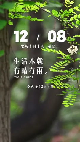 今天是12月8日，星期一，早安！ 生活本就有晴有雨，好与不好皆是寻常。世间万事终有归处，与其困在烦恼里内耗，不如顺其自然放宽心。愿我们在这磕磕绊绊的岁月里，拨开纷扰，稳稳接住属于自己的那份快乐…加油！
