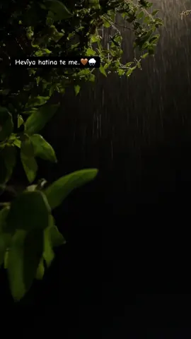 #barzani #kurdistan #fyp 