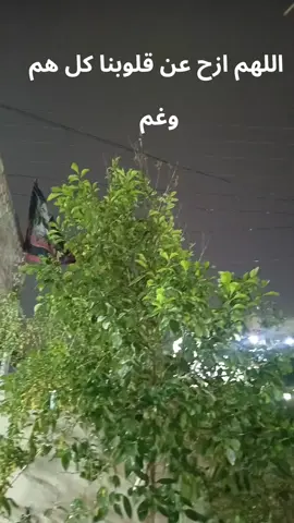 #الموسوية👑🇮🇶العلوية2025 