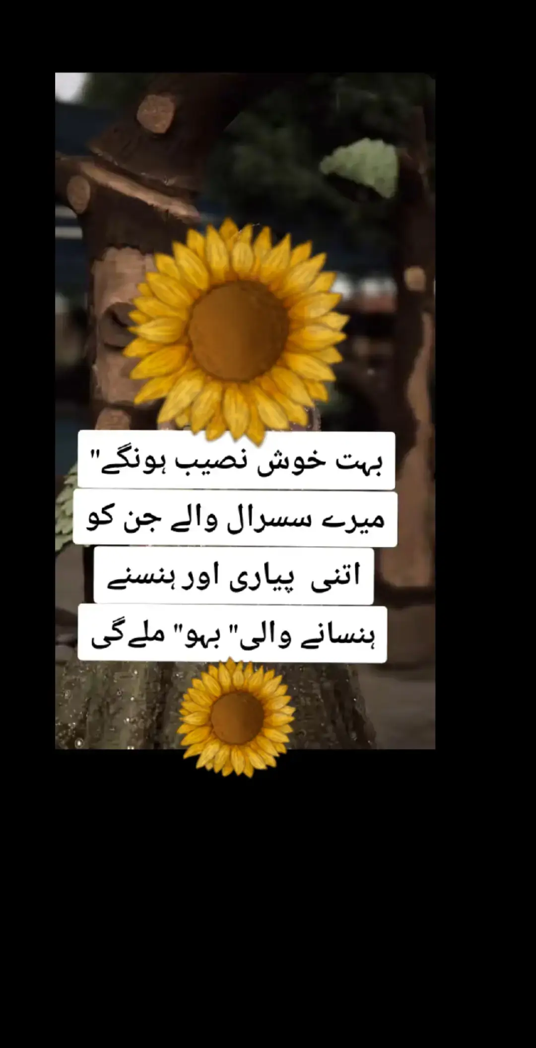 #🌺♥️🌹♥️🌹♥️🌹♥️🌹♥️🌹 #🎀⚘️🌿🌹☘️🎀☘️⚘️🌿🌹  #tktok #💕fyp💕 #🇨🇦💫🦋 