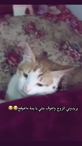 😭😭#capcut #yyyyyyyyyyyyyyyyyy  #الشعب_الصيني_ماله_حل😂😂 