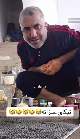 #بلە_خەمبار #viral #live #blaxambar #بلەخەمبار @حاجی ابراهيم 