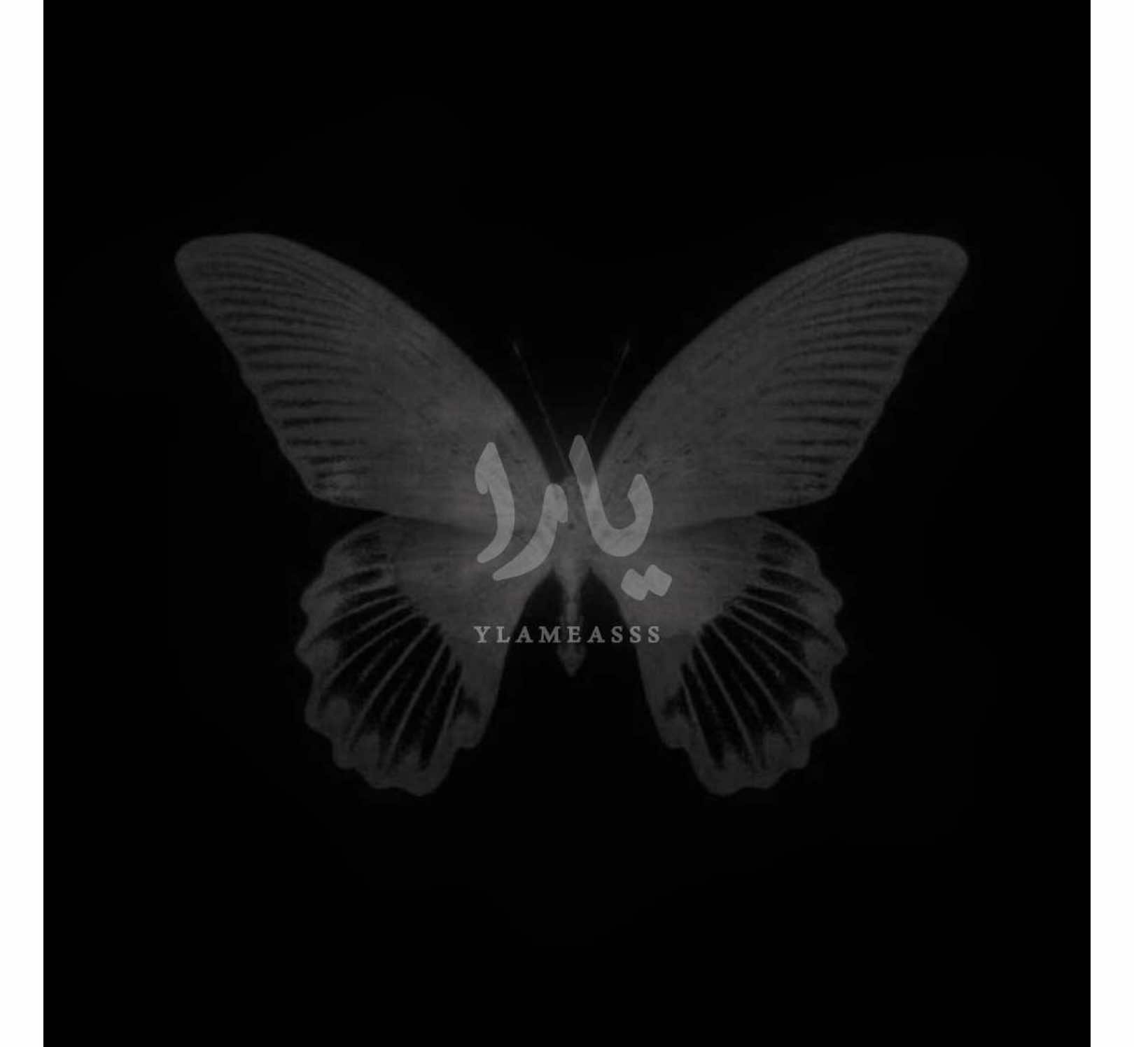 1:20am.#ylameasss #acctives? #rasty_lak #kirkuk 