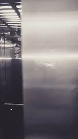 #fur #foryoupage #viral #djii #foryou 🐈‍⬛🐈‍⬛