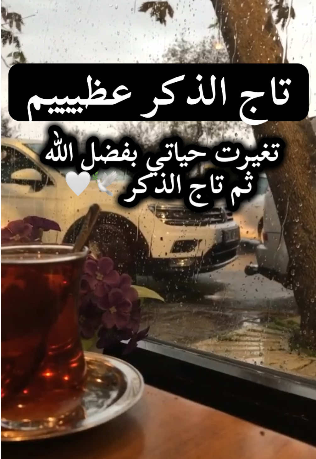 #تاج_الذكر #تاج_الذكر_لا_اله_الا_الله_وحده_لا_شريك #تاج_الذكر_والصلاة_على_النبي #تاج_الذكر🍃 #لا_إله_إلا_الله 