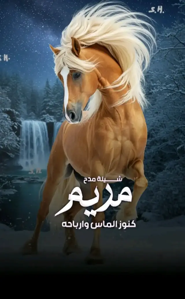 #شيله #شيلات #شيله_عروس #شيلات_2025 #شيله_عروس_رقص