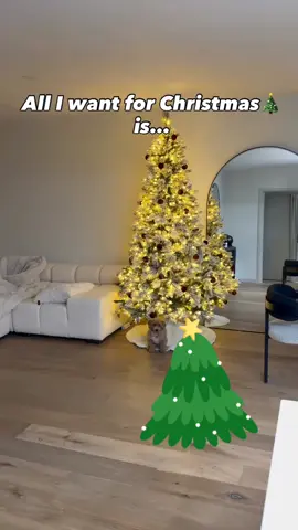 All I want for Christmas is you  #christmas #fyp #viraltiktok 