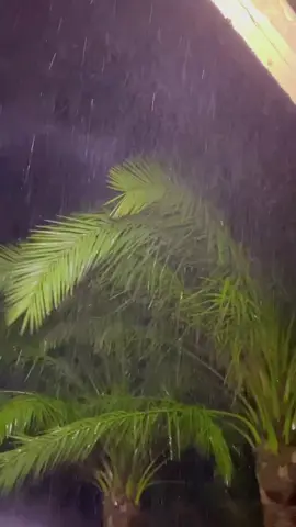 مطرت يمكم بعدها ⛈️⛈️#بغداد_بصرة_موصل_الكويت_الخليج_دبي_ 