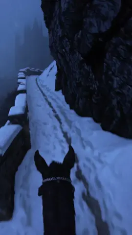 #darkfantasy #snow #goldenbrown #fyp 