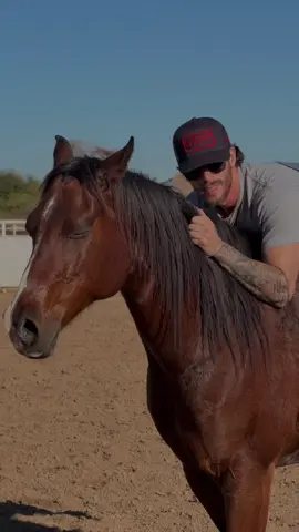 Natural horsemanship #western #country #cowboy #horse 
