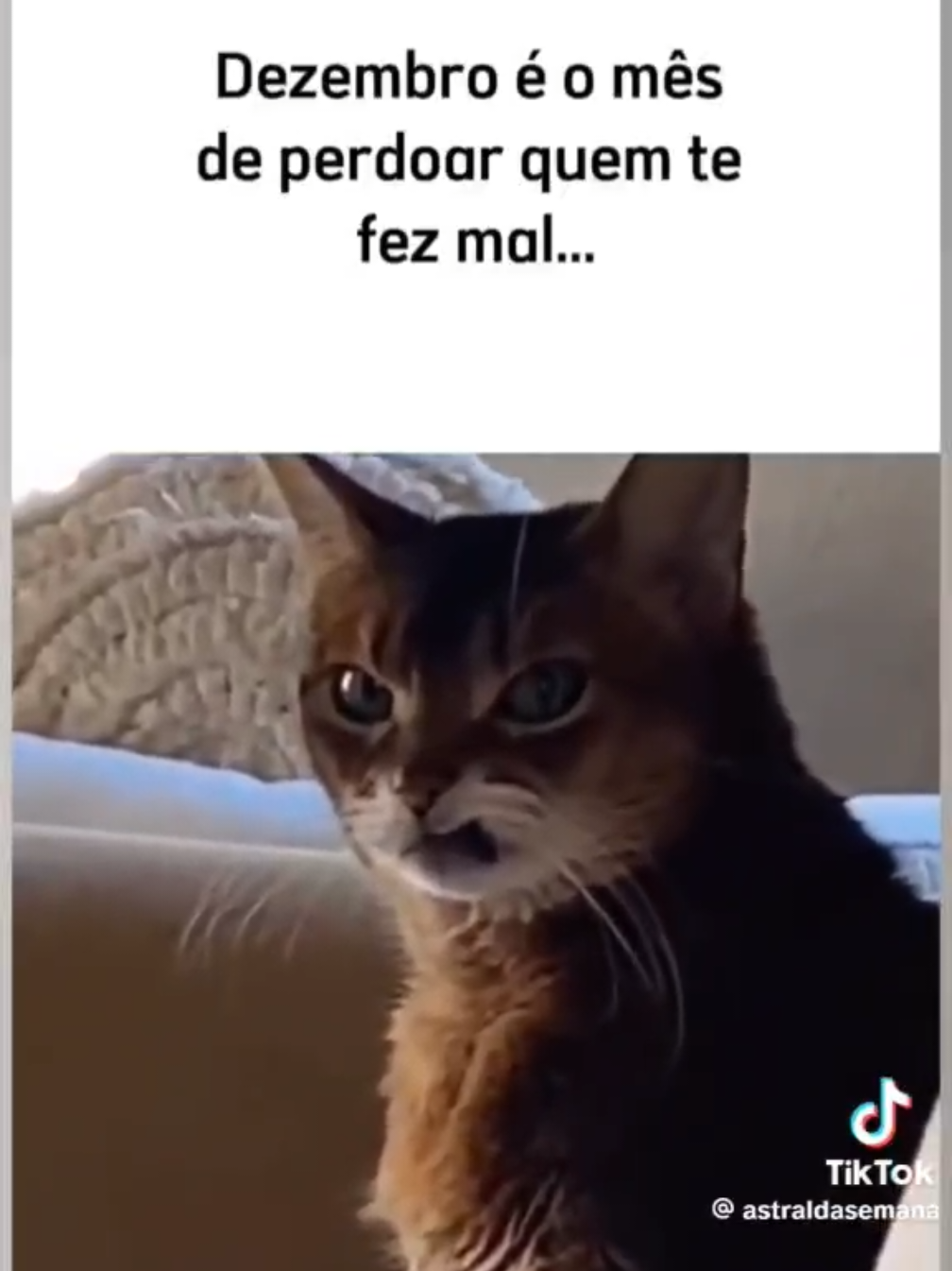 Não quero perdão, quero vingança! 😡😏🤣 #tiktokmemes  #memesnatal  #memesnatalinos 