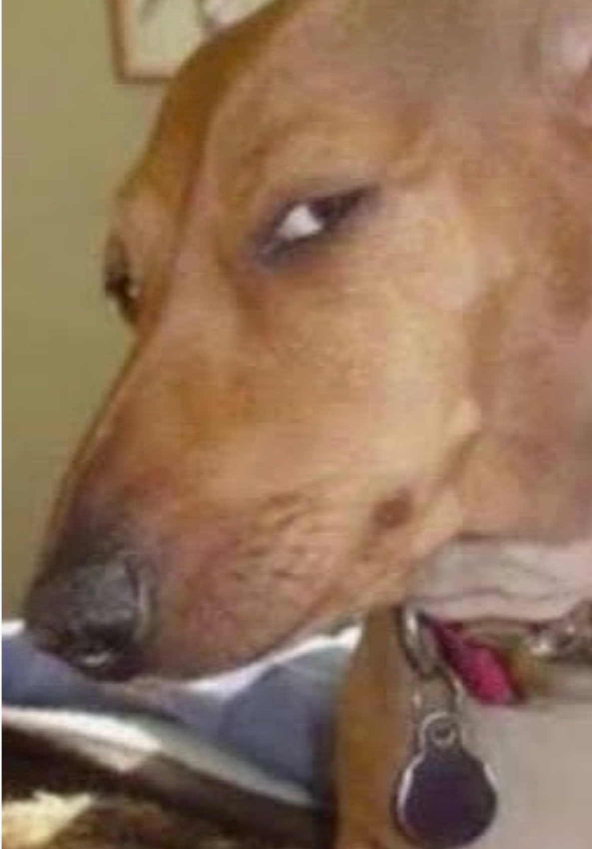 😬 @Malachi Barton 