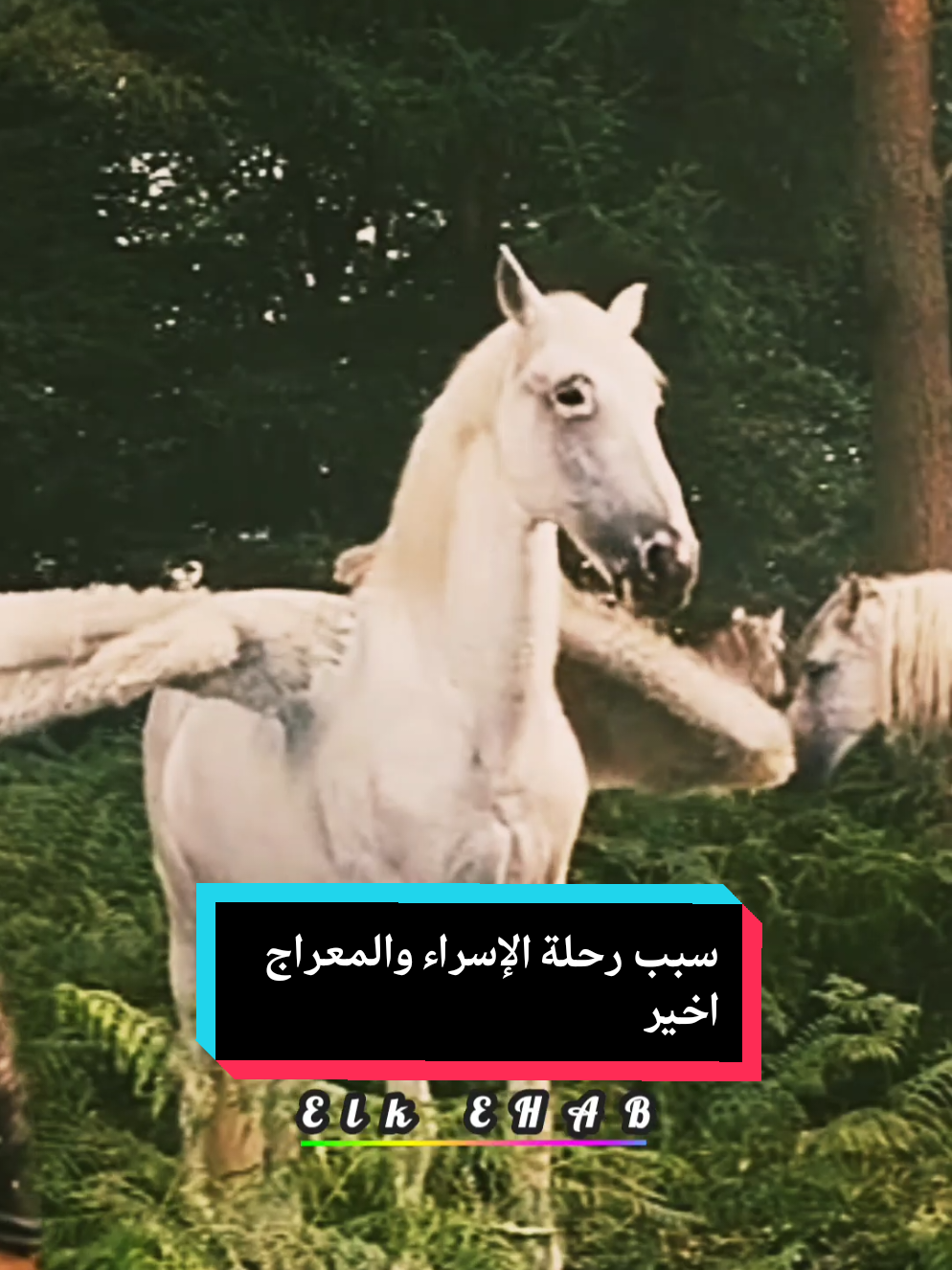 #viral #fyp #اكسبلور #الاسراء_والمعراج 