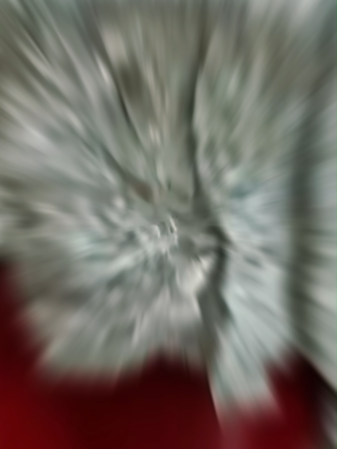 Você não vai acreditar como fica a neve depois de 40 ANOS  #curiosidades #fatosincriveis #voceSabia #natureza #experimentos #viral #tiktok #mistério #inacreditável #descoberta #historiareal #freezer #neve