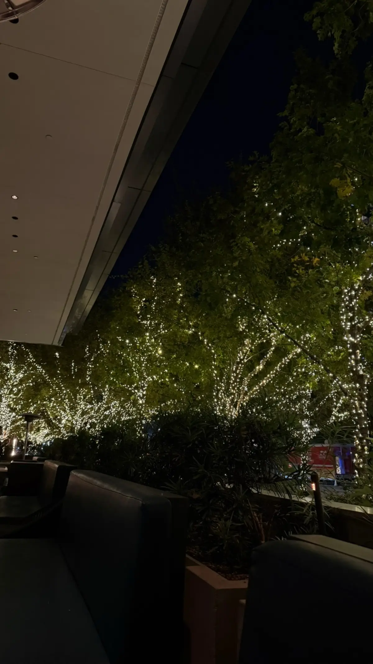 What a beautiful life we live 🥹