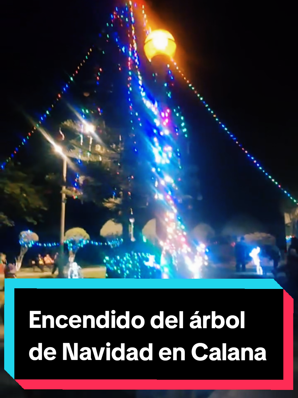 El encendido del árbol de Navidad en Calana #calana #tacna_peru🇵🇪 #navidad #arboldenavidad 