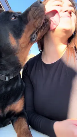 🐶🥹🤍 #rottweilersoftiktok #prettygirl #puppy #MomsofTikTok #loveyou 