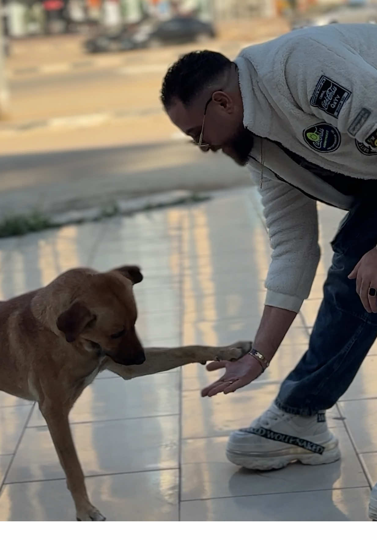 طب ليه ولا الكلب مش مخلصين😏 #محمدعطيه_فنان_الغلابه 