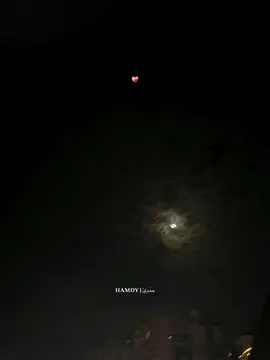 صبرك شويه وبكره هتتفرج عليا…❤️‍🩹#اغاني_بدون_موسيقى #foryou #fyp #احمد_عامر #حمدي 