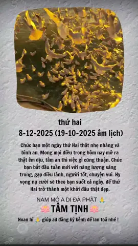 Chúc bạn một ngày thứ Hai thật nhẹ nhàng và bình an. Mong mọi điều trong hôm nay mở ra thật êm dịu, tâm an thì việc gì cũng thuận. Chúc bạn bắt đầu tuần mới với năng lượng sáng trong, gặp điều lành, người tốt, chuyện vui. Hy vọng nụ cười sẽ theo bạn suốt cả ngày, để thứ Hai trở thành một khởi đầu thật đẹp. #tamtinh #phatphap #phatgiao #phatphapnhiemmau #nammoadidaphat 