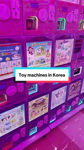 We had fun playing these toy machines in downtown Daegu! My daughter bought me a capybara! #toymachine #clawmachine #daegu #thingstodoinkorea #americaninkorea 