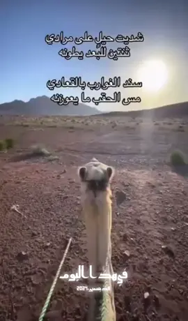 #في هذا اليوم 