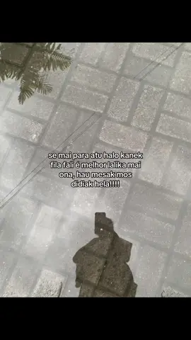 #fypシ゚ #fyppppppppppppppppppppppp #timorleste🇹🇱🐊 