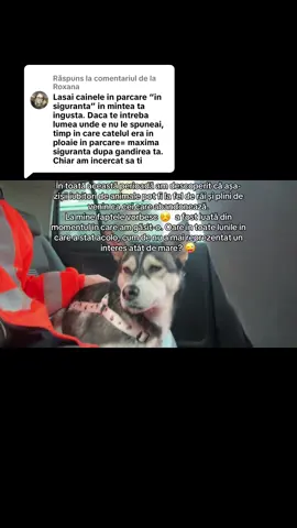 Ca răspuns pentru @Roxana 