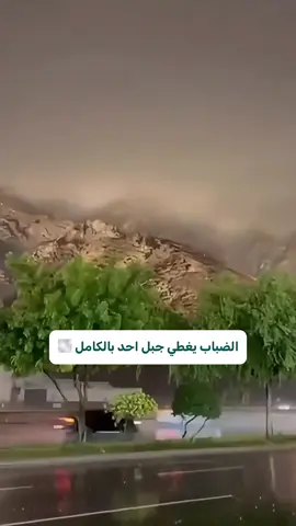 مطر المدينة#المدينة_المنورة#مطر#جبل_احد