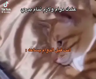 وضعي الان😅💔