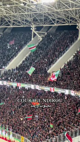 أداء في منتهى الروعة، كل الملعب بصوت واحد 📷👀🟢🔴 #mouloudia_virage_sud🇮🇹🙏 #مولوديةالجزائر #tiktok #الجزائر #vsm 