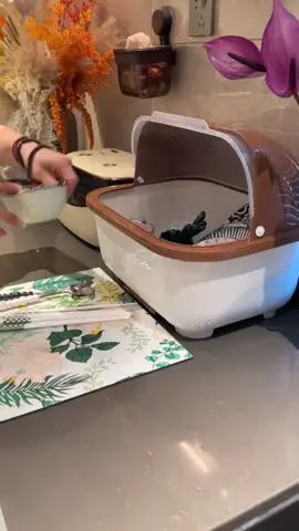 Kệ úp bát đũa #xuhuongtiktok #keupbatdia 