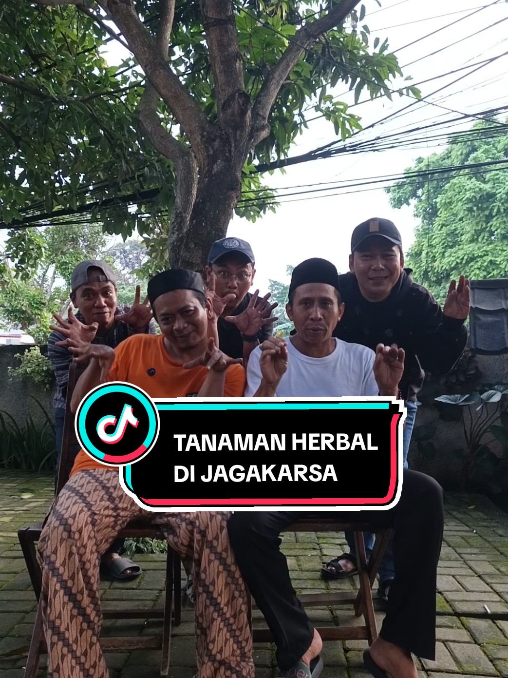 jagakarsa tanaman herbal aja numbuh mulai dari sirih. lavender. kembang telon. banggele. mahkota dewa dll #ceritadevega #tanamanherbal #ceritadevega #jagakarsa 