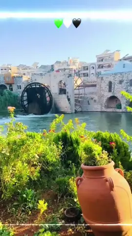 #@🦅الحموي🦅#ستوريات  #تصميم_فيديوهات_تصممي🔥🎬 #_لايك_ومتابعه_فدوه_اكسبلور💔 #شعب_الصيني_ماله_حل😂😂 