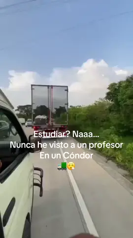 #viral #condor @Marvin Claros 